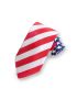 Clip-On Patriotic Tie
