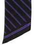 FedEx Oblong Scarf
