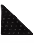 Oblong Icon Scarf