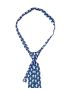 Slider Patriotic Tie