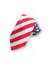 Slider Patriotic Tie